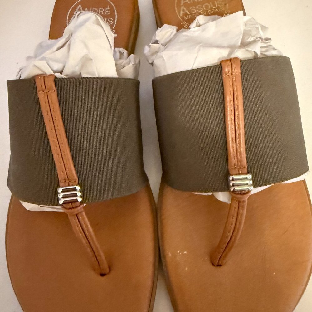 Andre Assous Slides